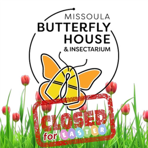 MBHI Closed for Easter-Photoroom_thumb.jpeg